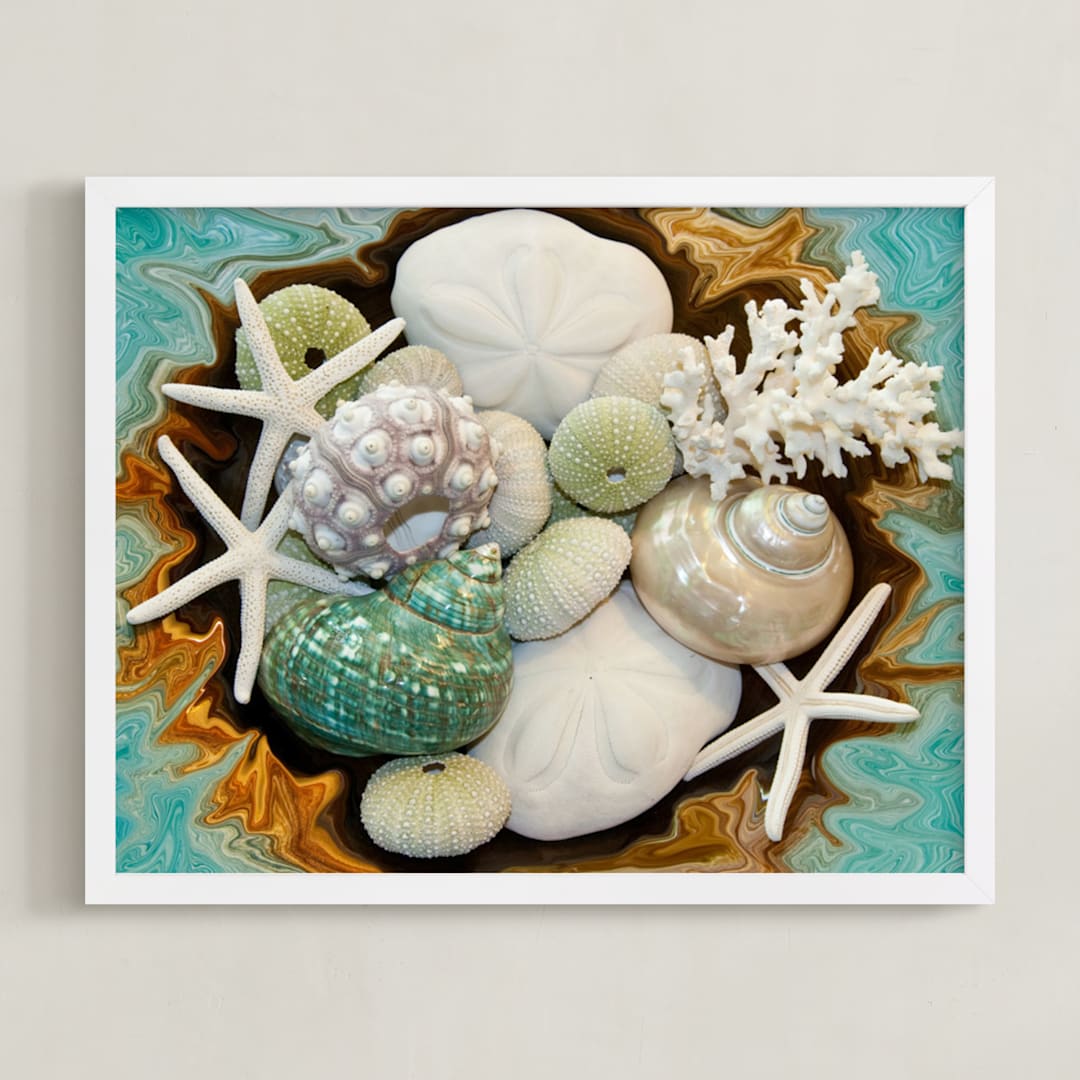 Sea Shell Swirls