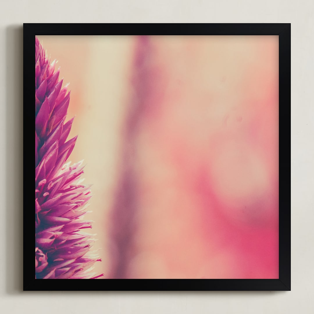 Fuchsia Study 4
