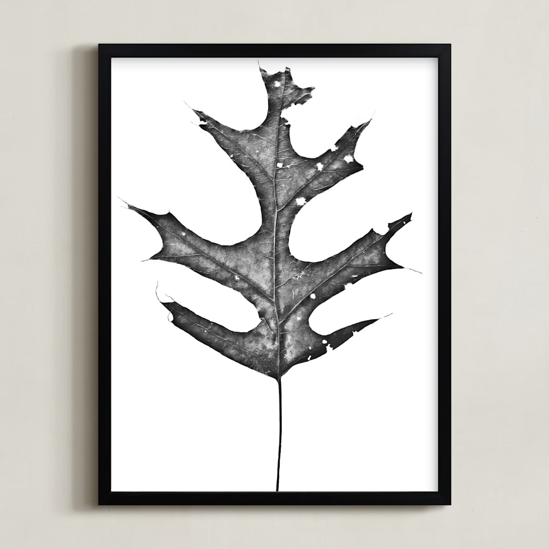 King of the Forest