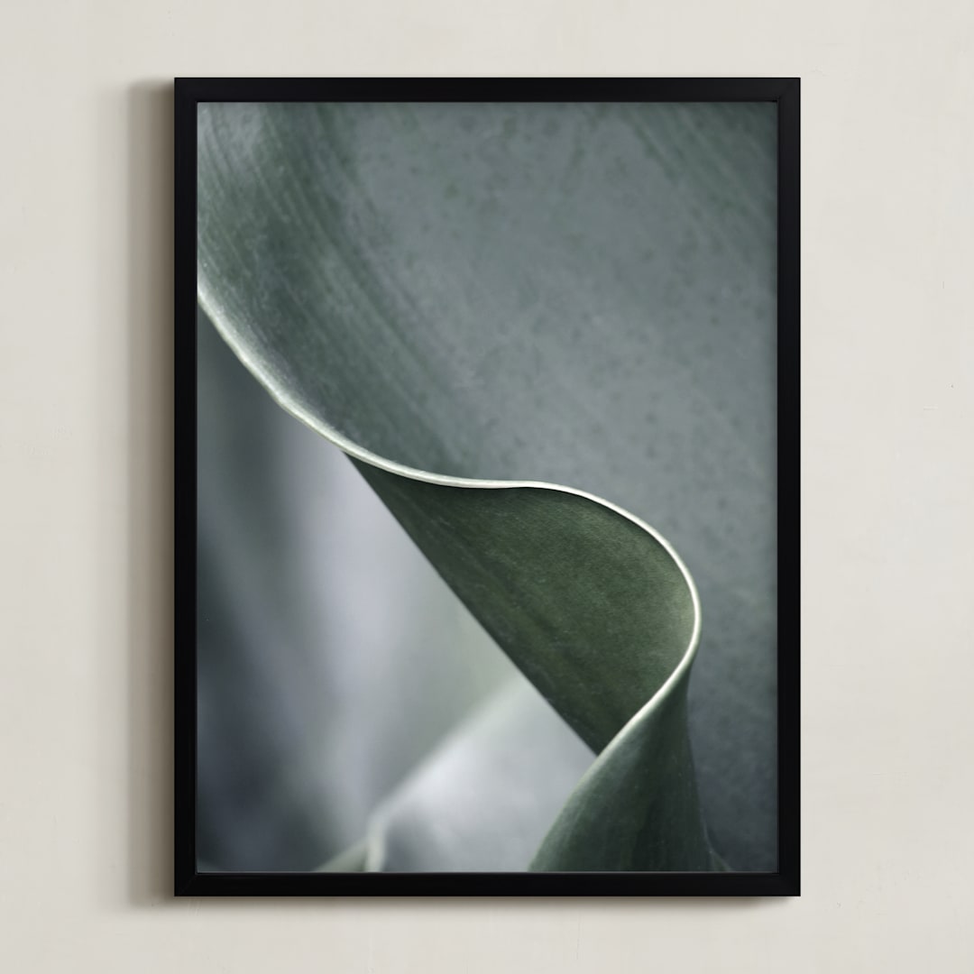 Botanic 3
