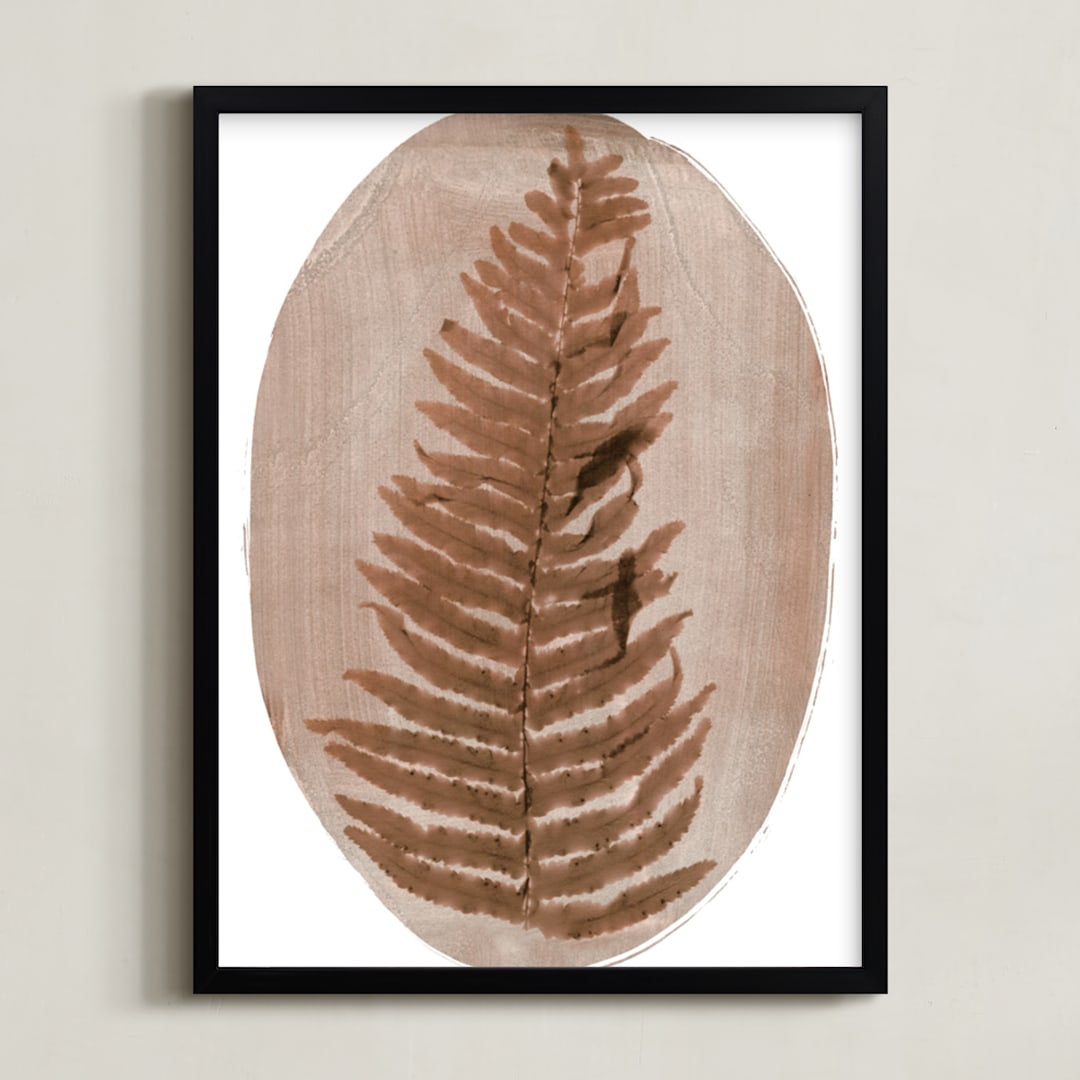 Fern