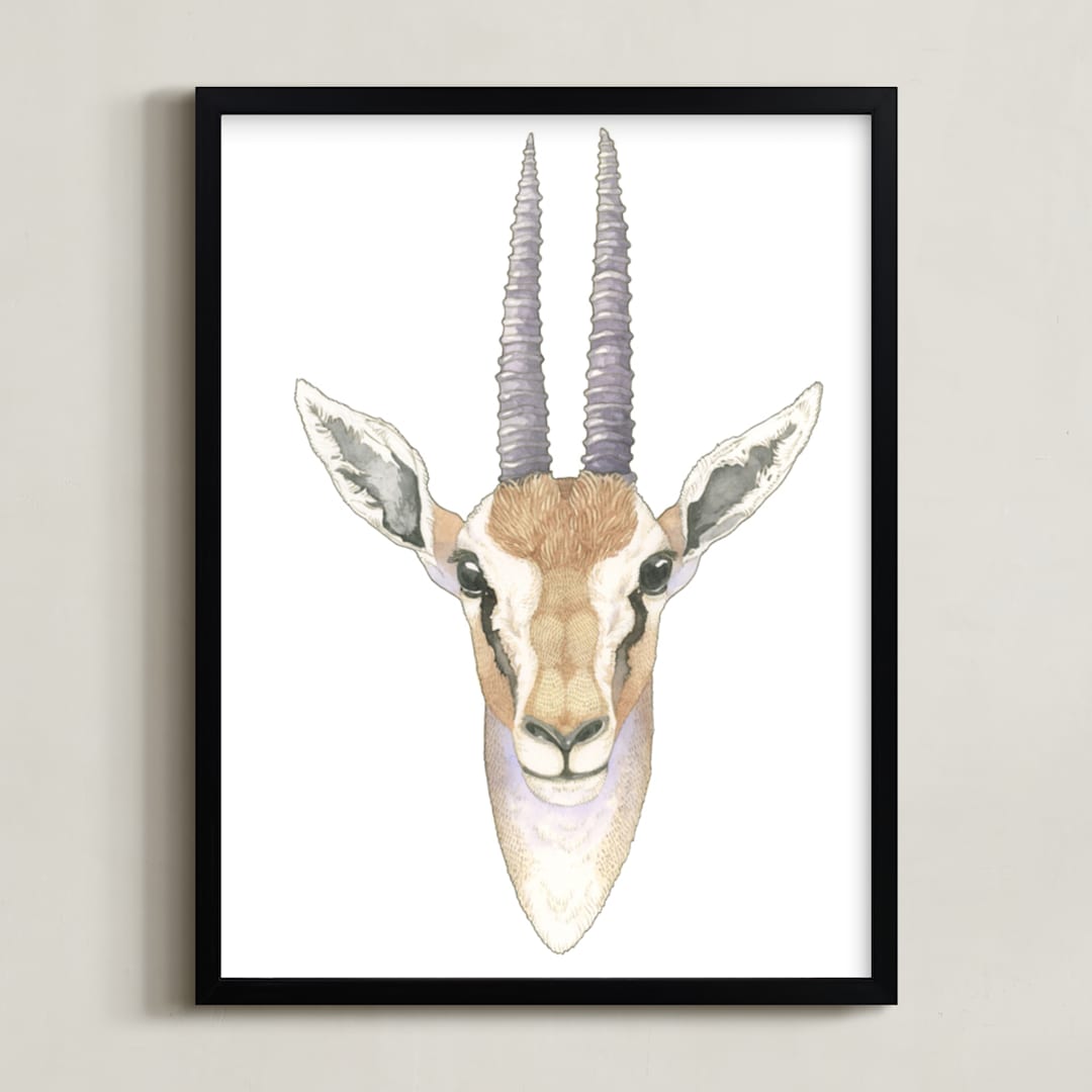 African Gazelle