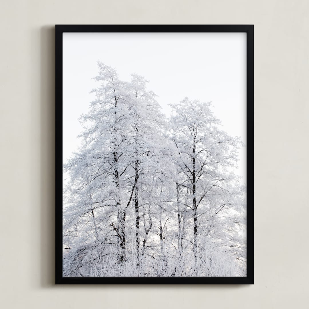 Winter nature