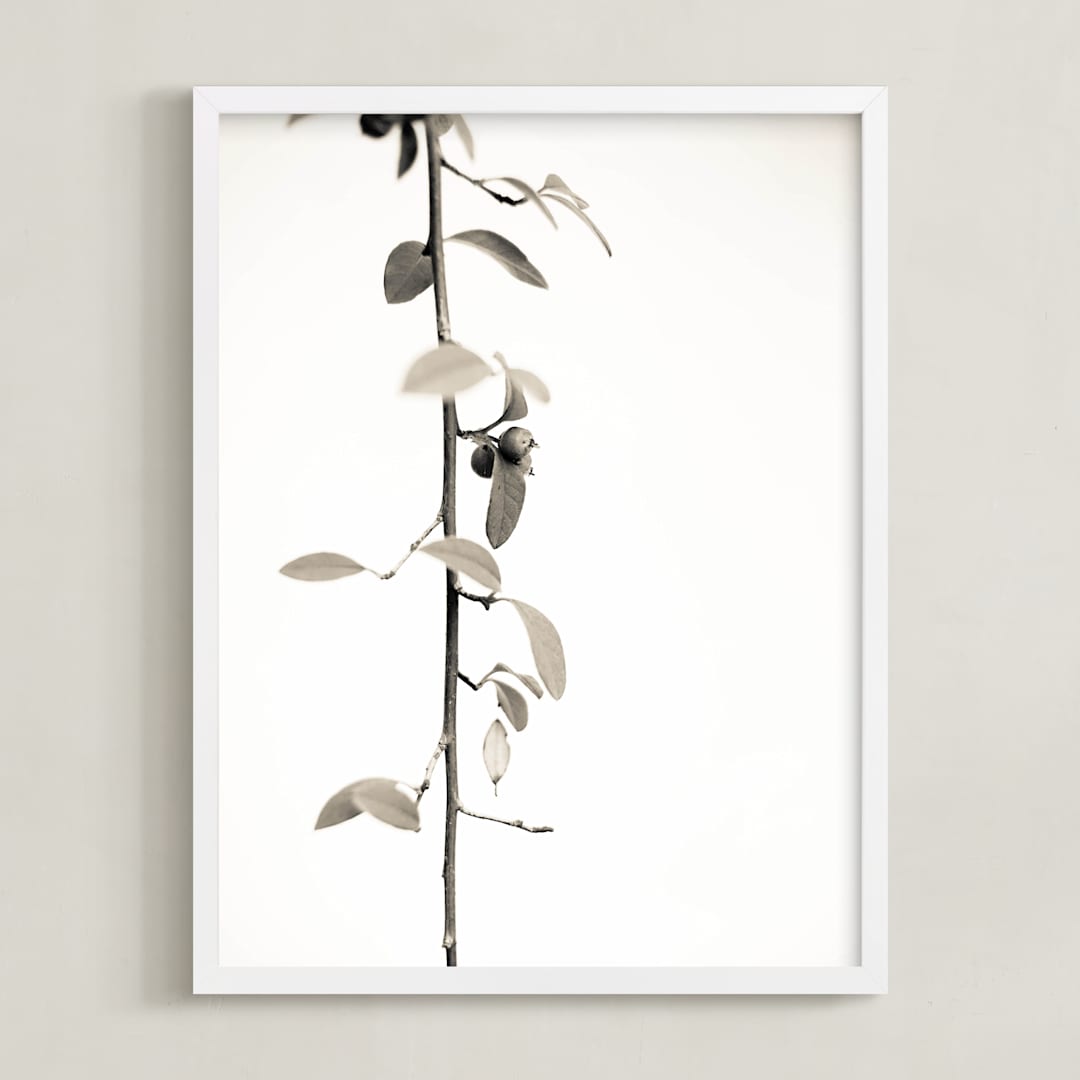 Berry branch