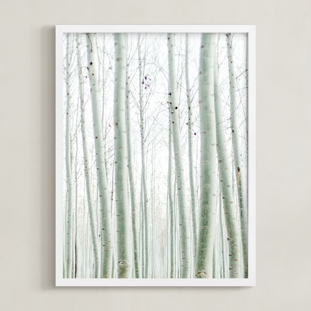 Quiet Poplars