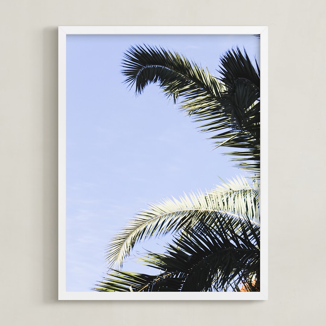 Palm I