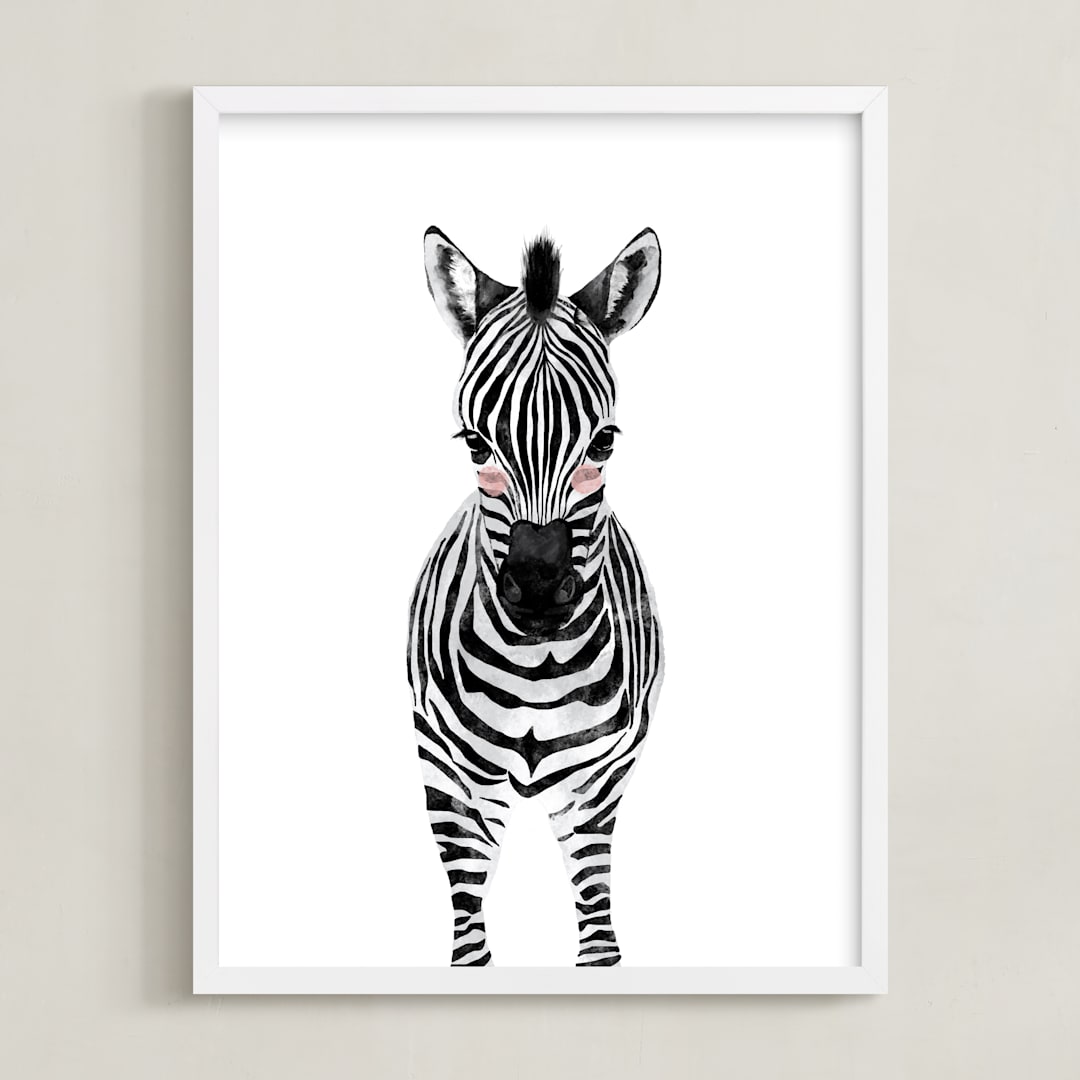 baby animal.zebra
