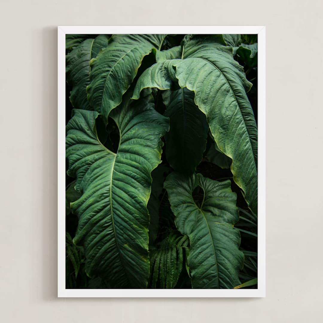 The Jungle Room