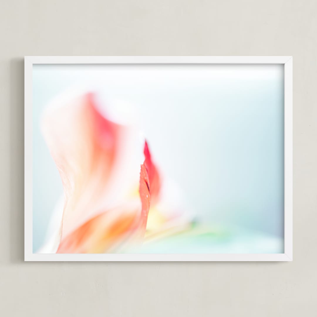 Delicate Array