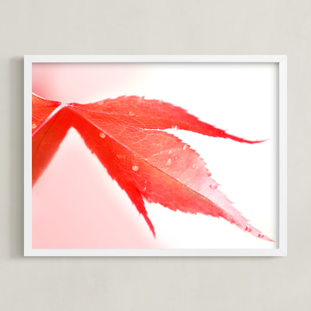 Raindrops on red leaf