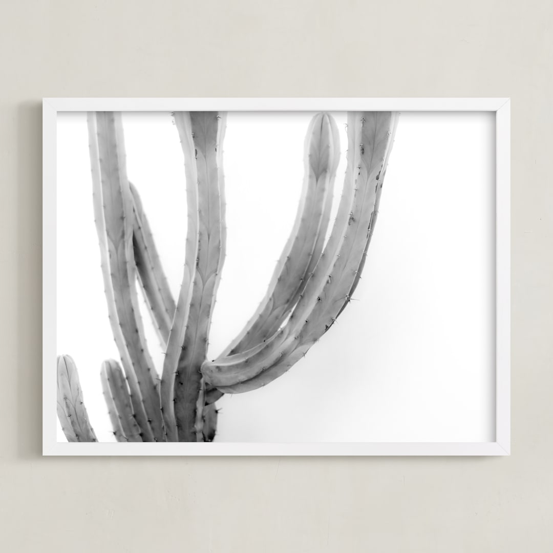 Moorten Cactus Study 2