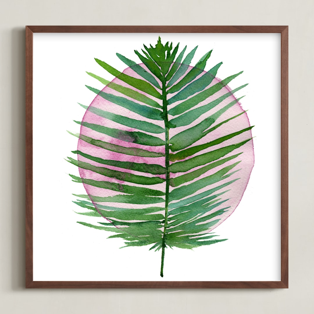 spotlight - sago palm