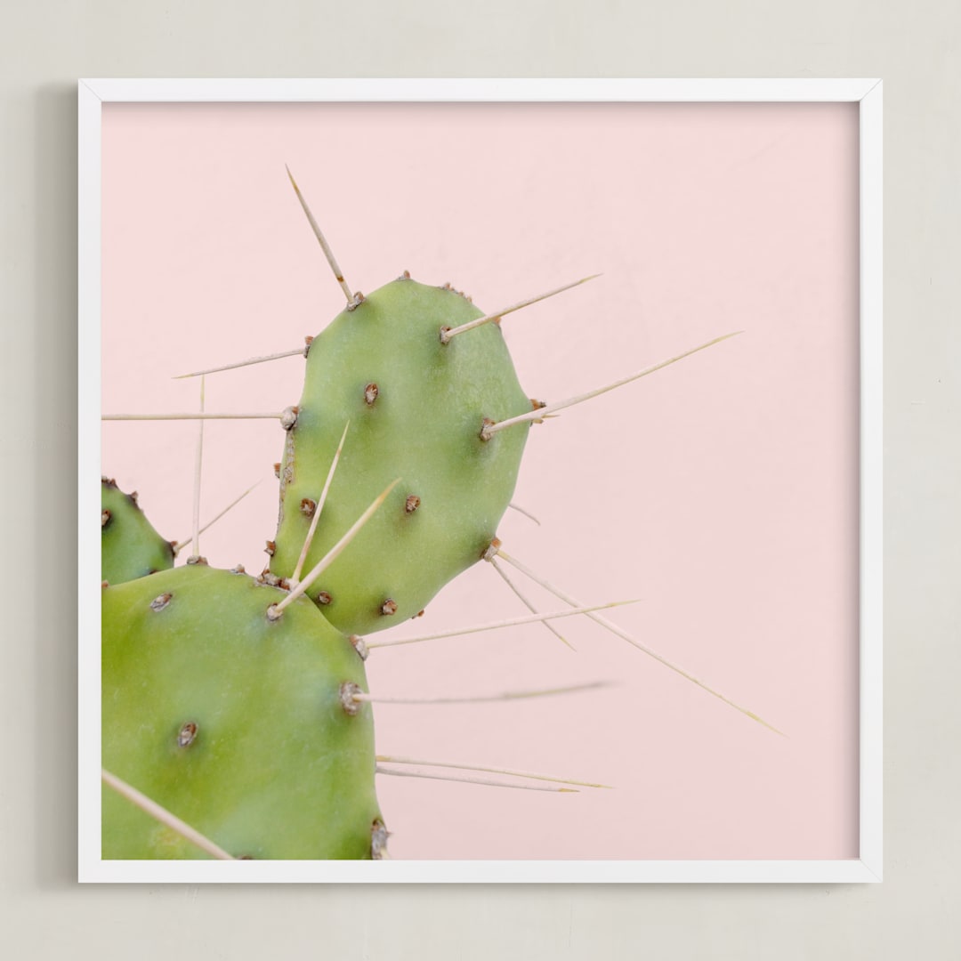 Succulent No1