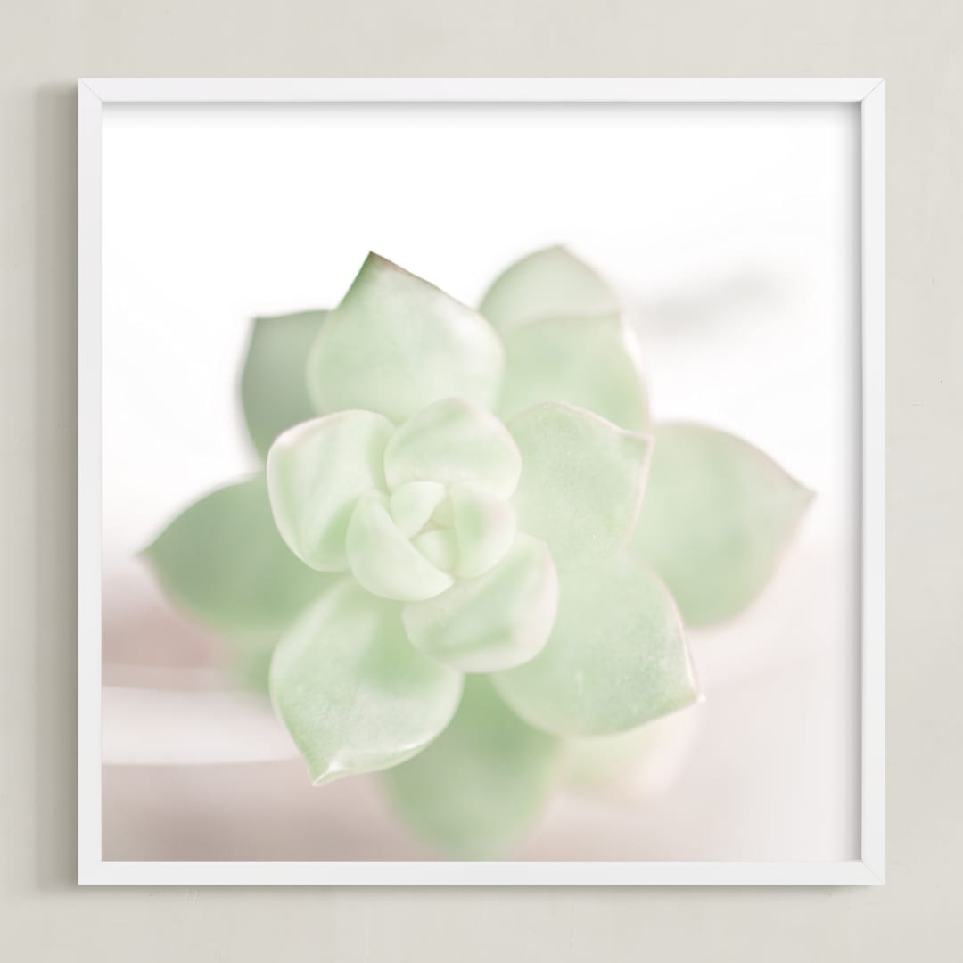 Soft Succulent No. 2