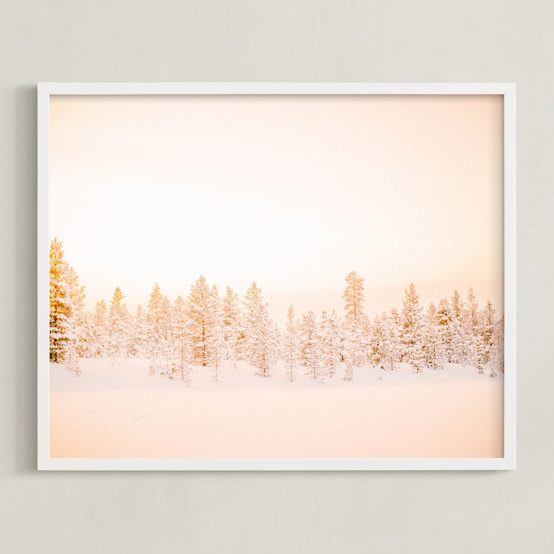 Finnish Forest