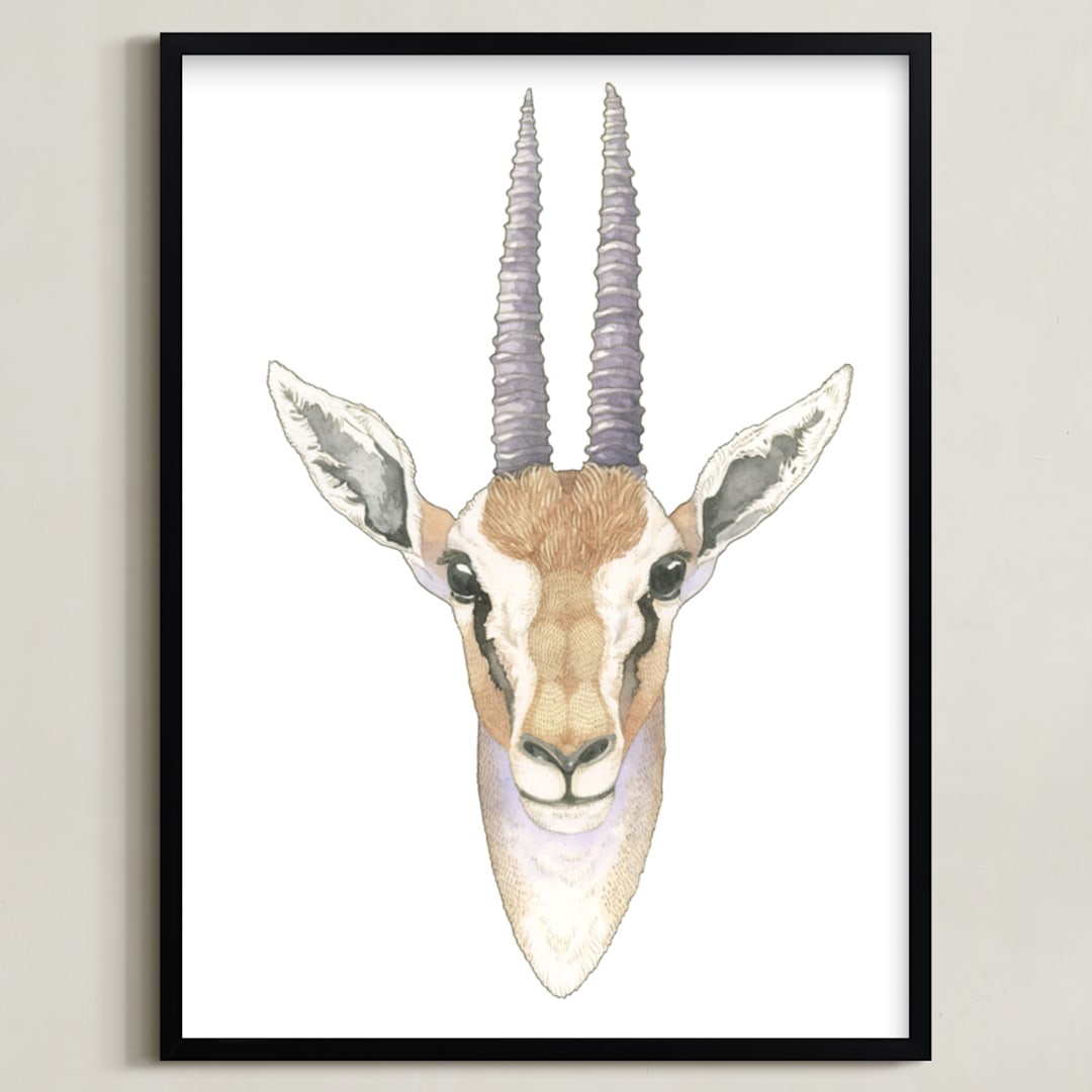 African Gazelle