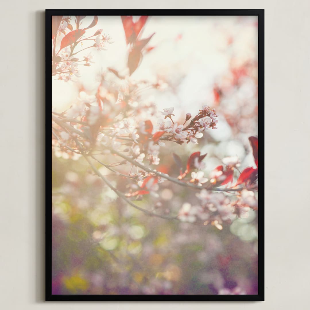 Wild Cherry