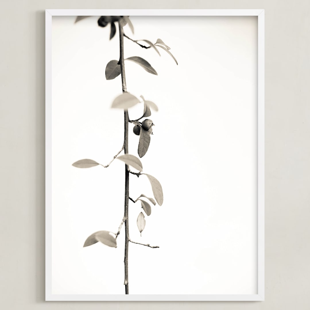 Berry branch
