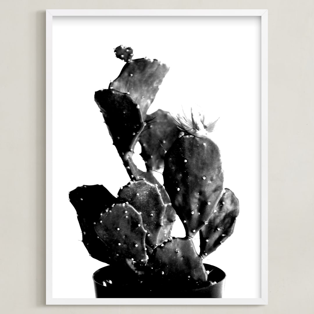 black cactus