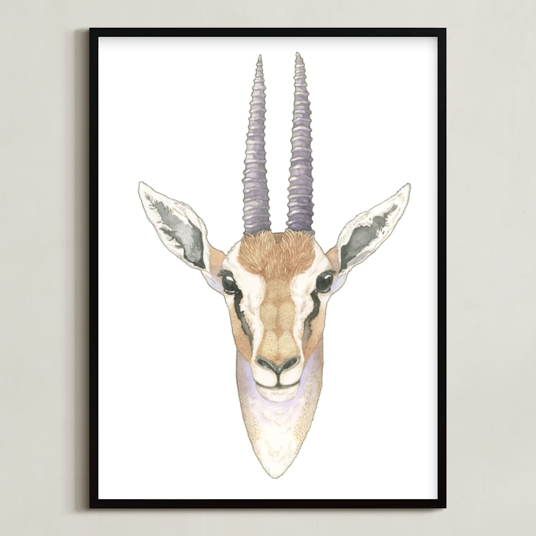 African Gazelle