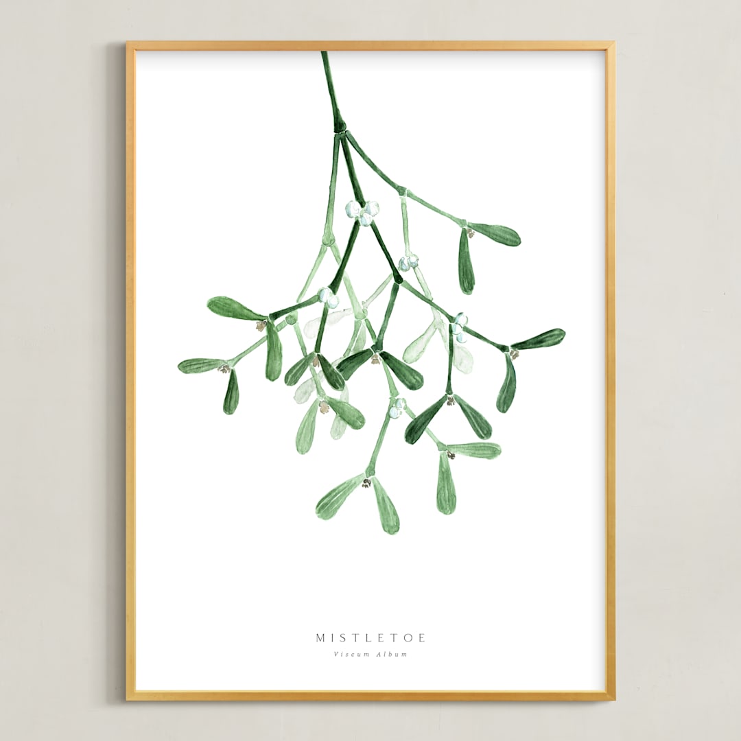 Watercolor mistletoe