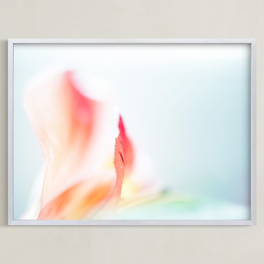 Delicate Array