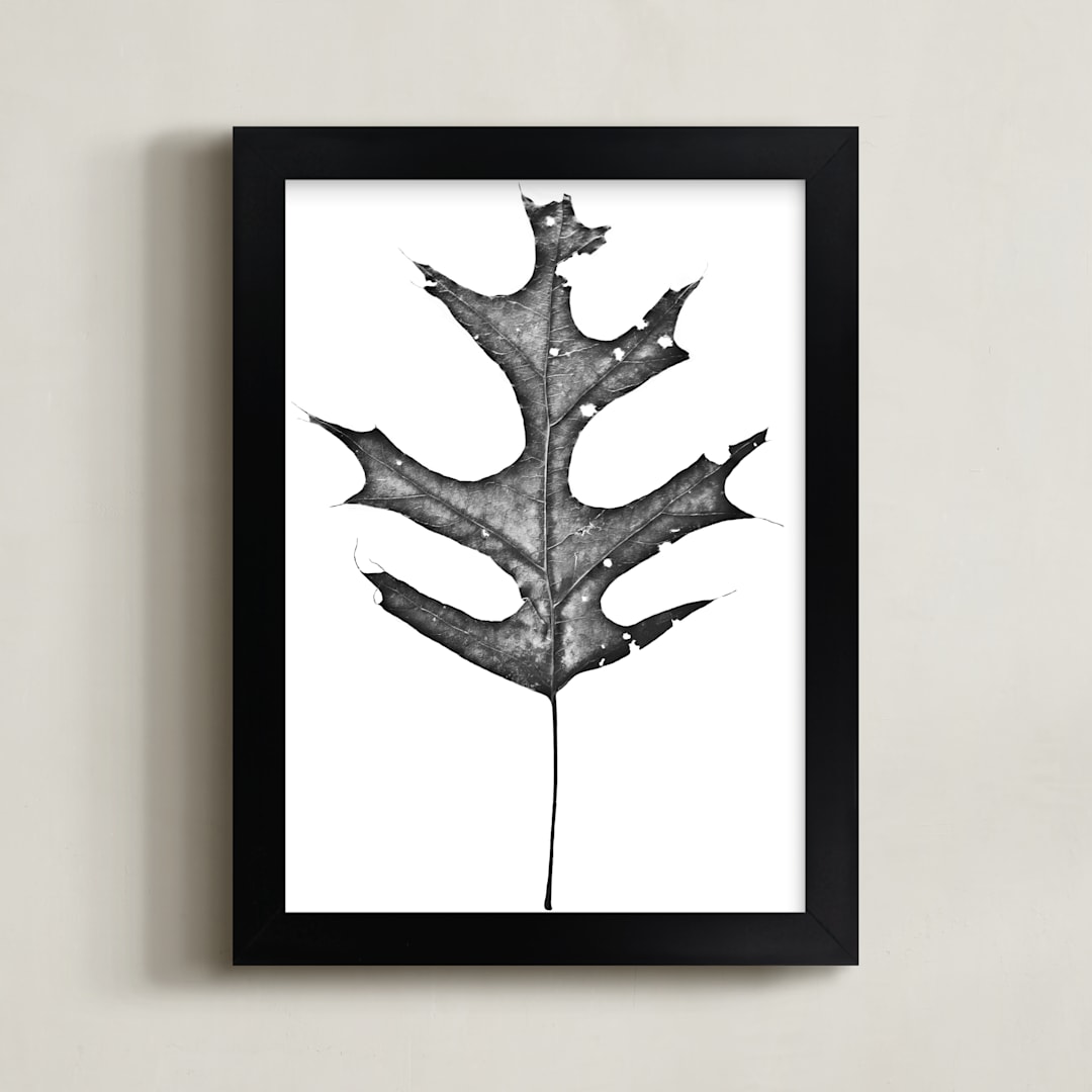 King of the Forest
