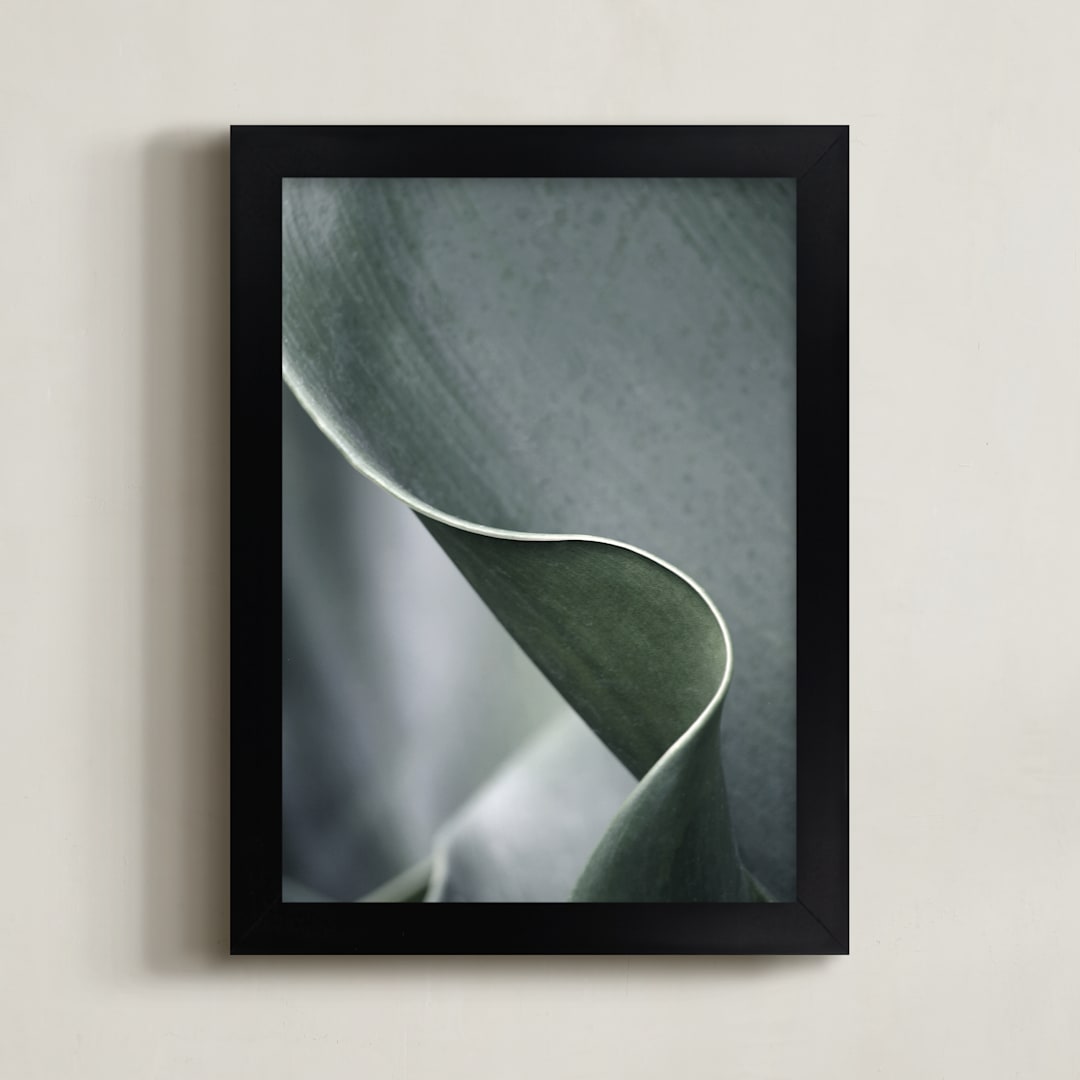 Botanic 3