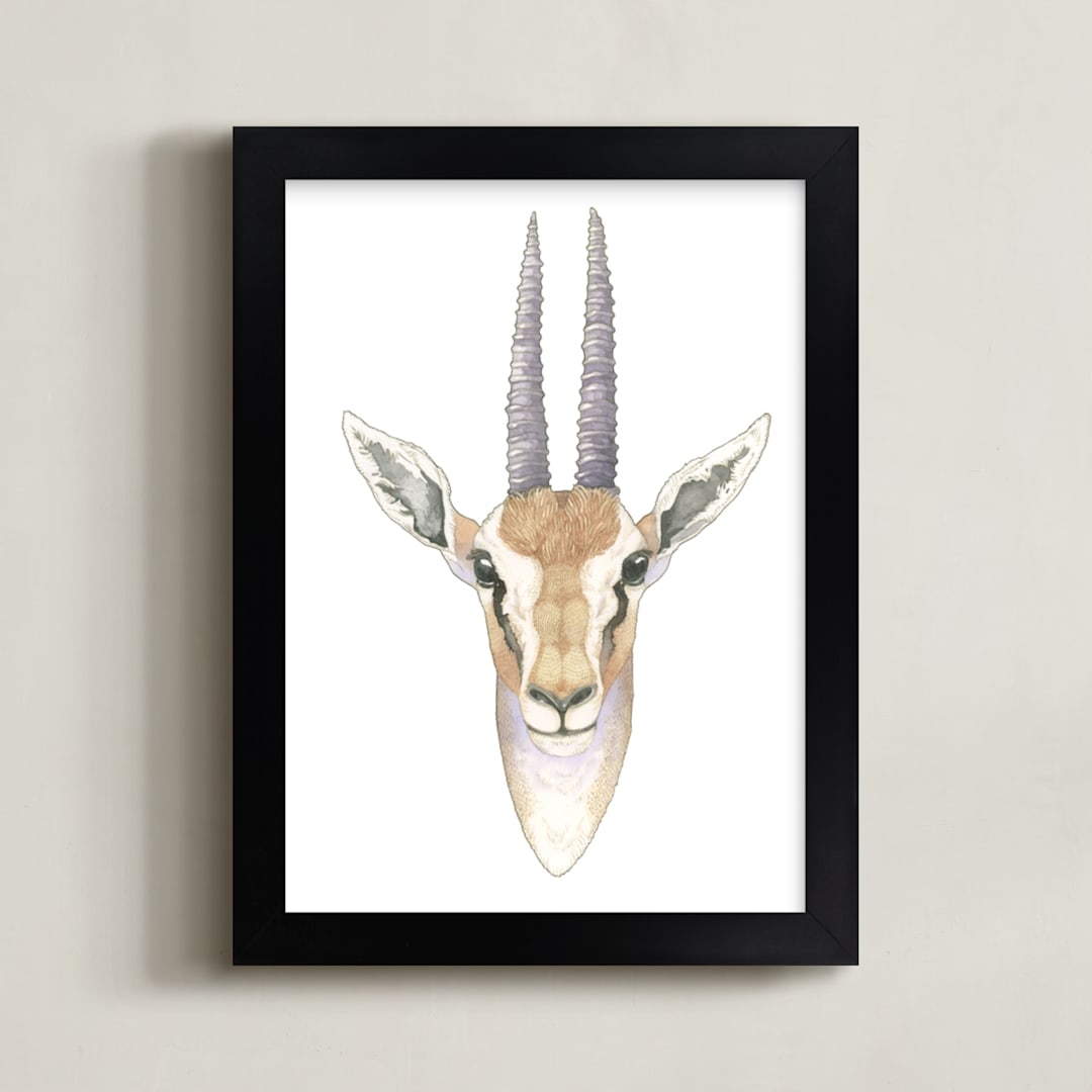 African Gazelle