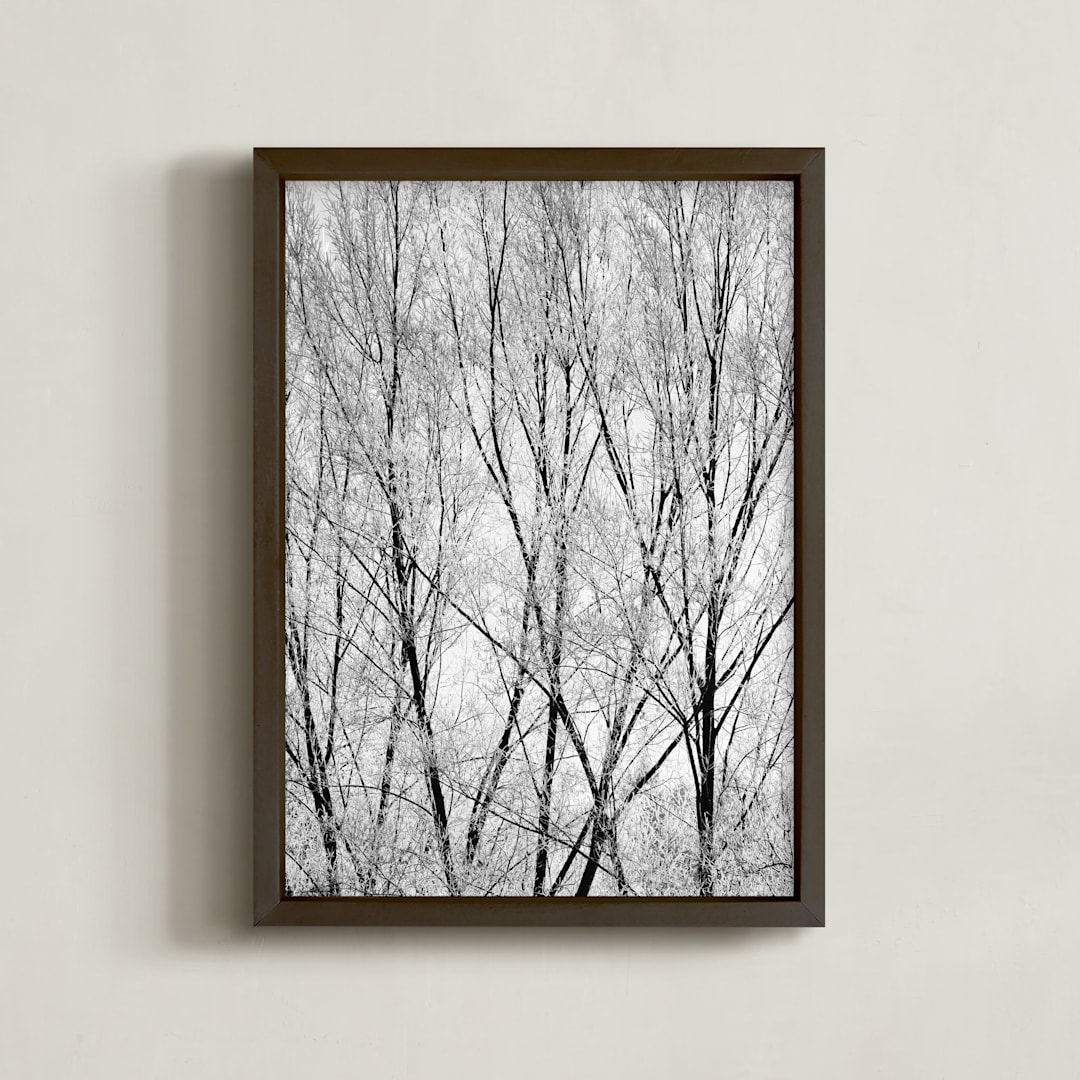 Winter Trees