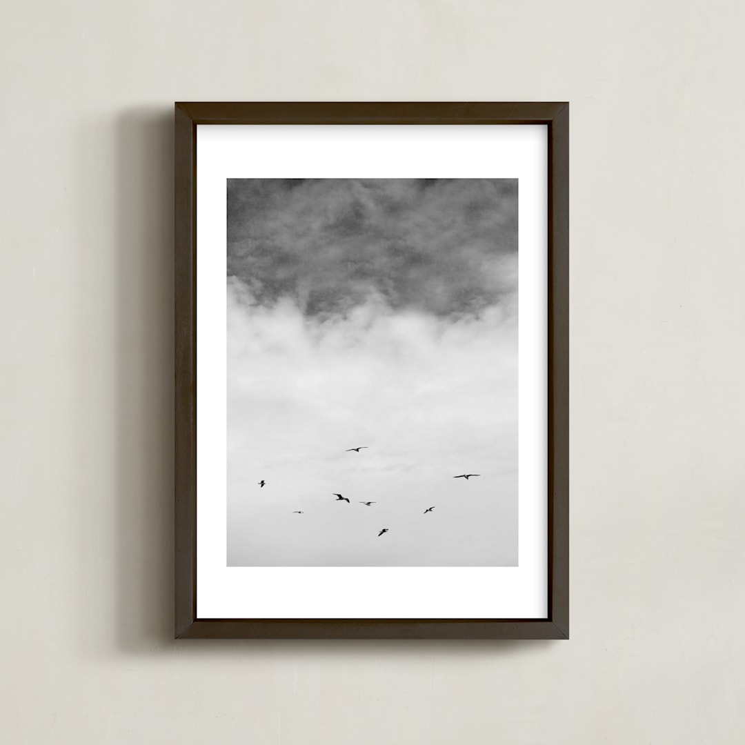 Soaring Trio 2
