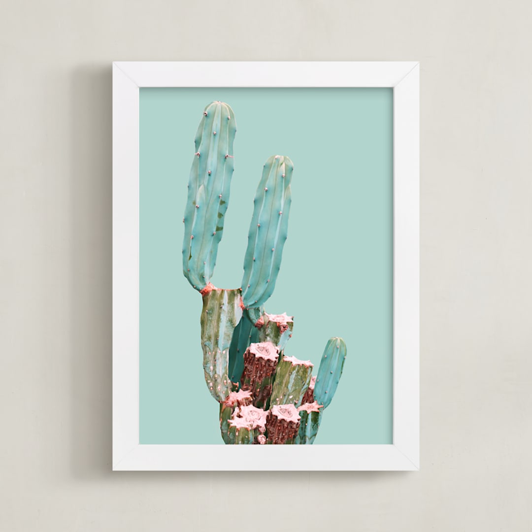 Cactus Garden