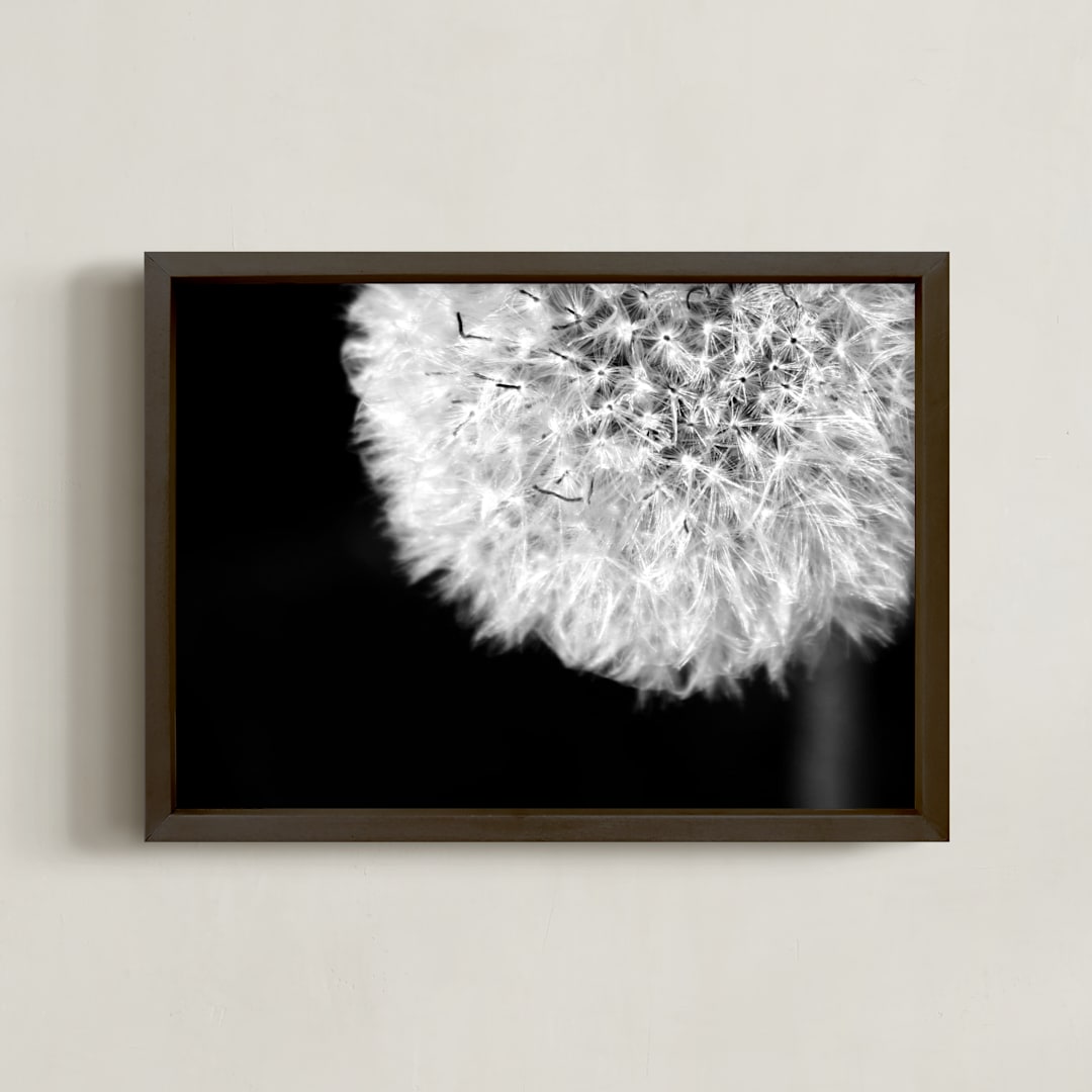 Dandelion Defined