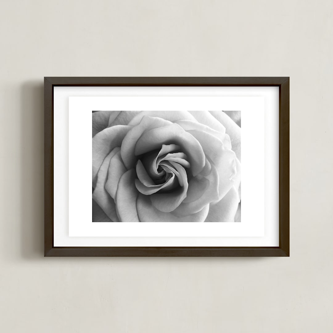 Resting Rose