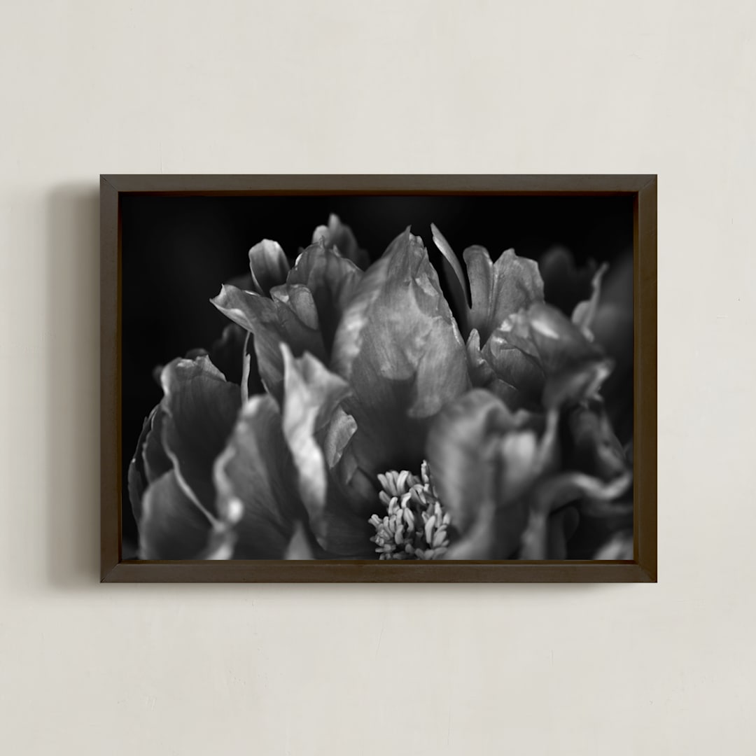 Peony #1