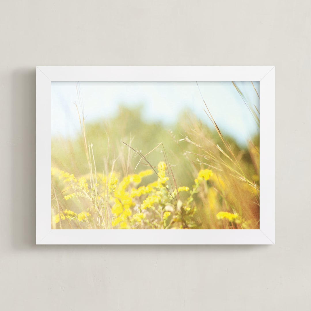 Field of Sunshine