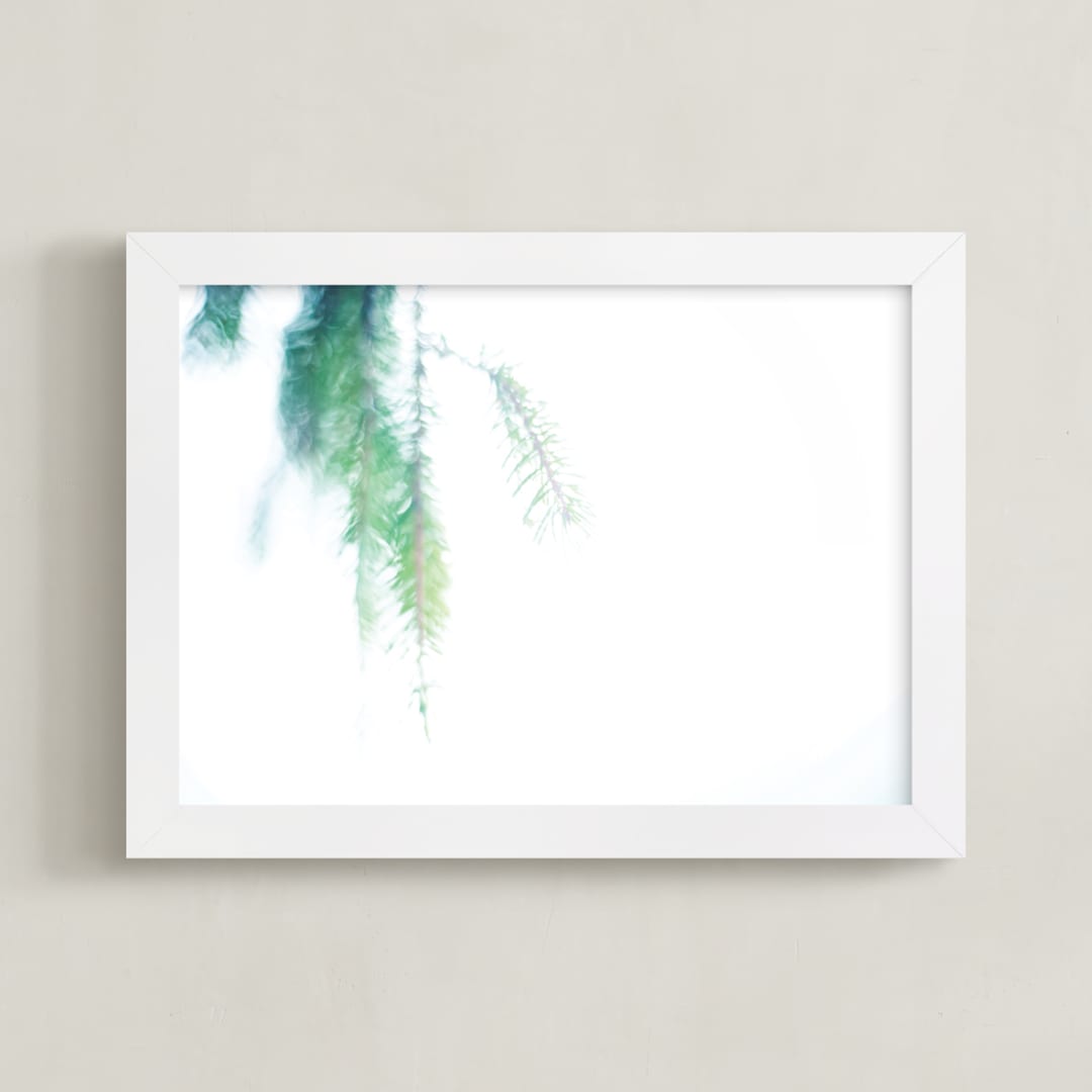 Pine Study 4