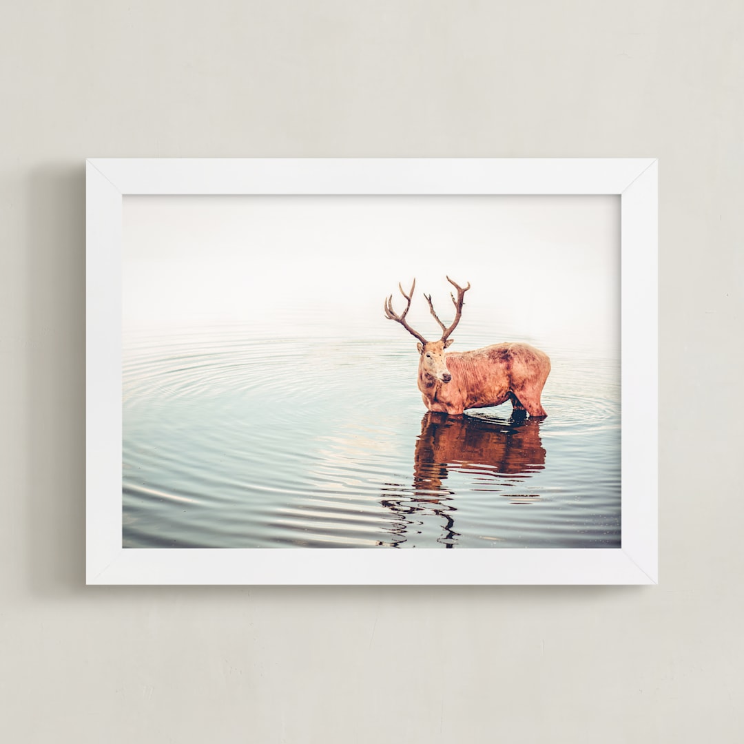 Deer