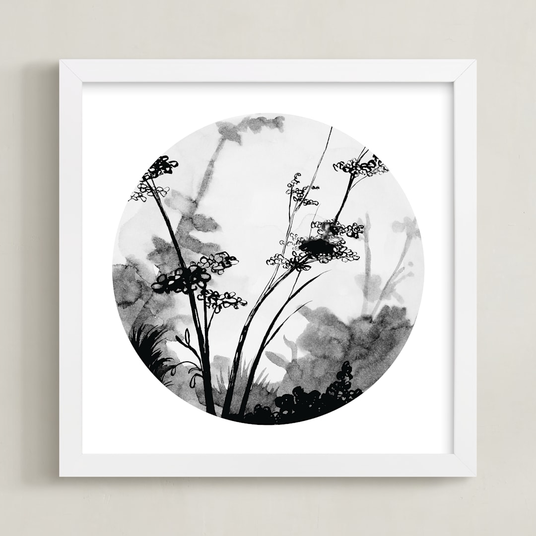 Queen Anne's Lace