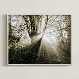 "Foggy Treehouse" - Art Print in Golden Orange by Katie Buckman - Framed