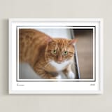 "Artifact: Landscape Framed Photo" - Framed Photo in Charcoal by Snow and Ivy - Framed