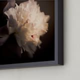 "A White Peony" - Art Print in sublte color by Qing Ji - Frame Close-up