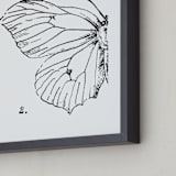 "Moth No. 2" - Art Print in Jet Black by Mere Paper - Frame Close-up