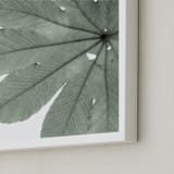 "Leaf In Green" - Art Print in Mint Green by Jonathan Brooks - Frame Close-up