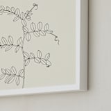 "Wild Pea" - Art Print in charcoal on ivory background by Jorey Hurley - Frame Close-up
