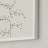 "Wild Pea" - Art Print in charcoal on ivory background by Jorey Hurley - Frame Close-up