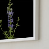 "stunning summer" - Art Print in purple by raven erebus - Frame Close-up