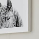 "sundance" - Art Print in Slate by Robin Ott - Frame Close-up