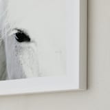 "Behold" - Art Print in Snow by Robin Ott - Frame Close-up