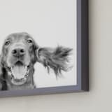 "Irish" - Art Print in Pepper by Anne Ciotola - Frame Close-up